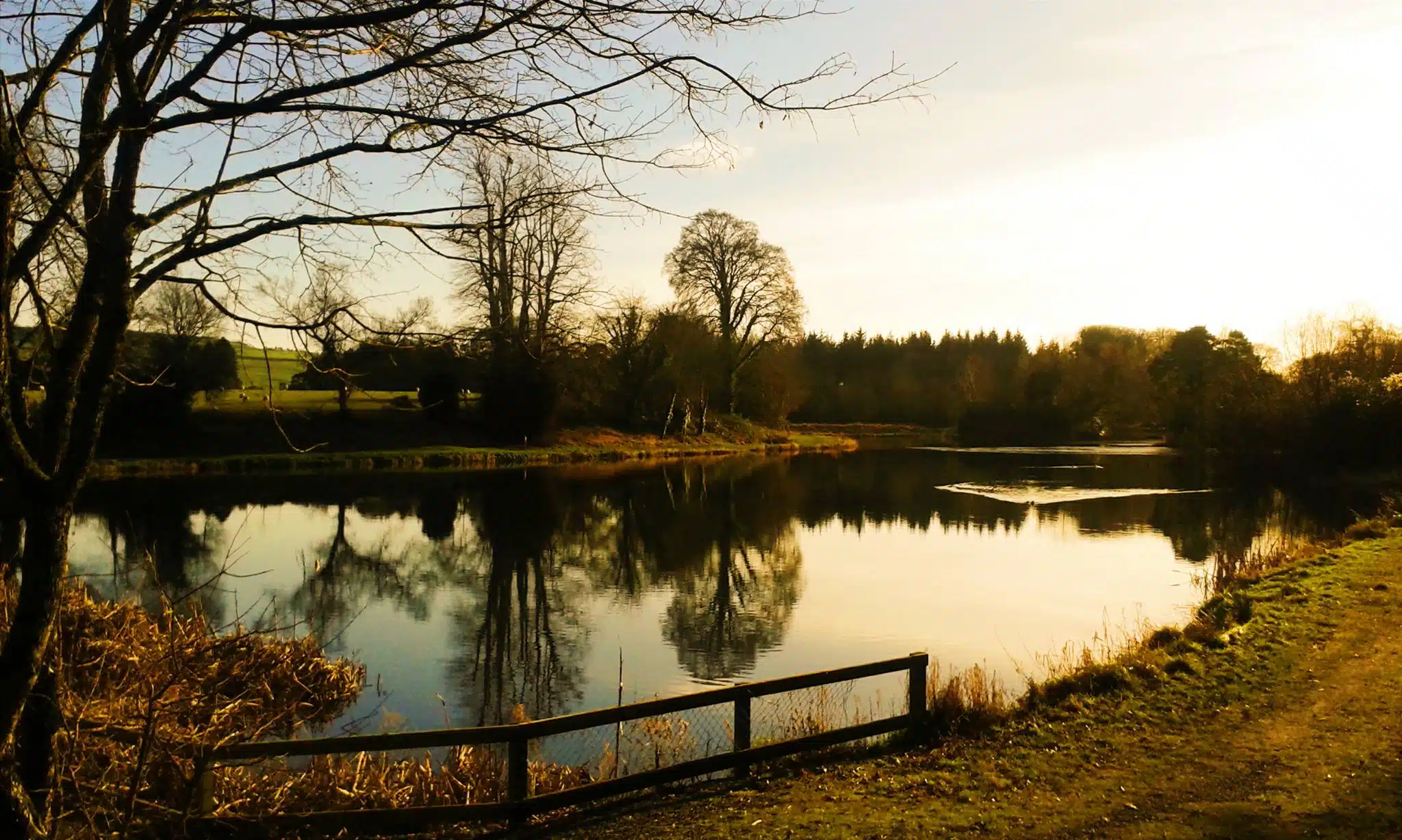 Stradbally lake at golden hour